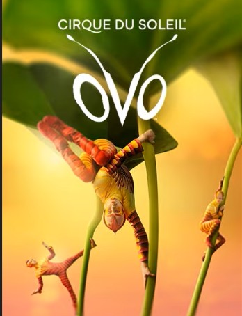 CIRCO DEL SOL  ESPECTÁCULO "OVO" EN  MADRID (SÁBADO)