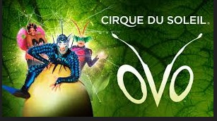 CIRCO DEL SOL  ESPECTÁCULO "OVO" EN  MADRID (VIERNES)