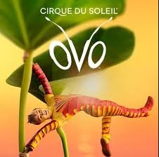 CIRCO DEL SOL  ESPECTÁCULO "OVO" (JUEVES)